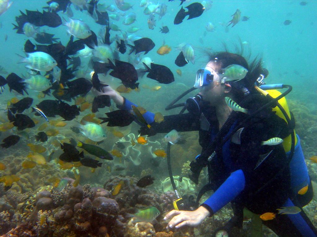 Paradise Island Park & Beach Resort Samal Esterno foto